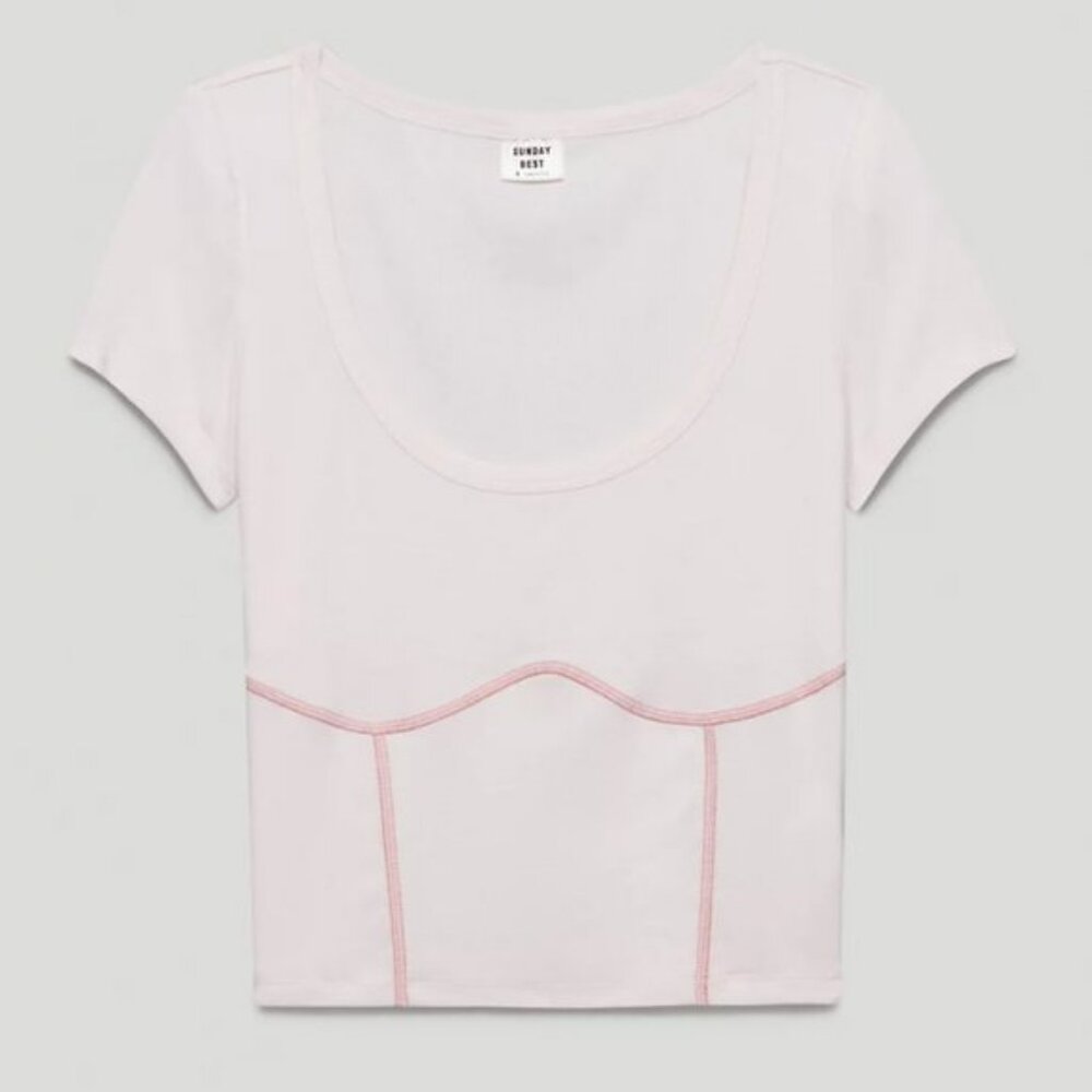 Aritzia Sunday Best Rumi T-shirt in Frosted Rose